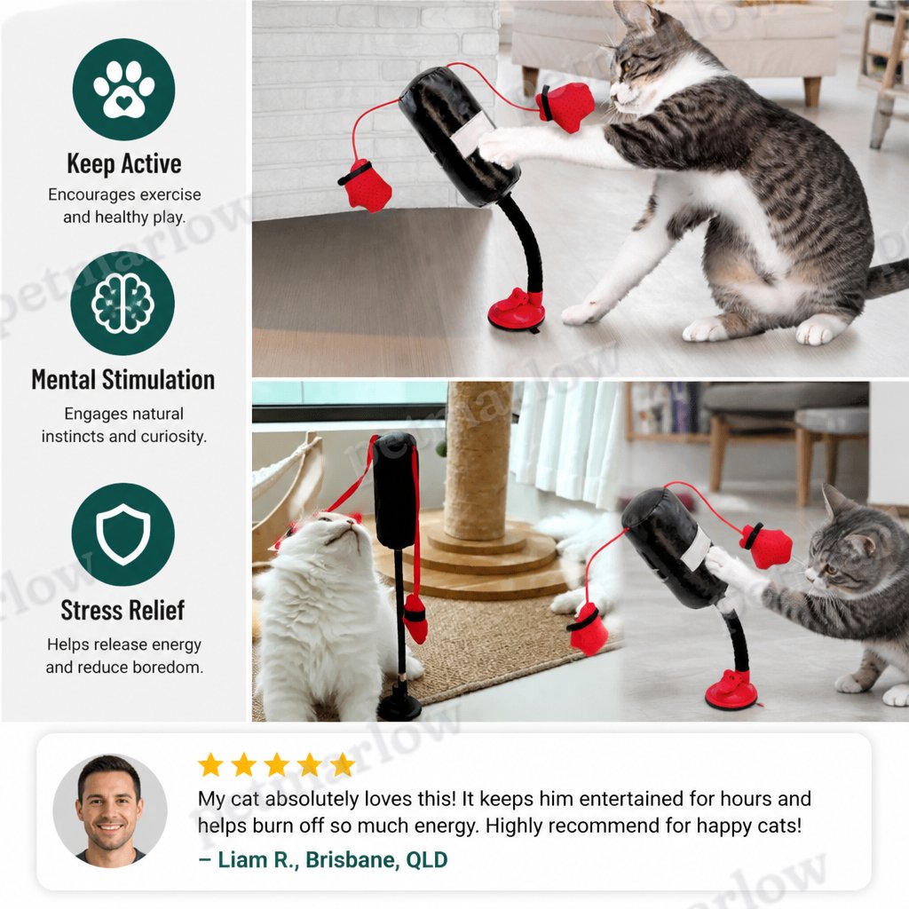 Durable Interactive Cat Boxing Toy with Punching Bag – view 4