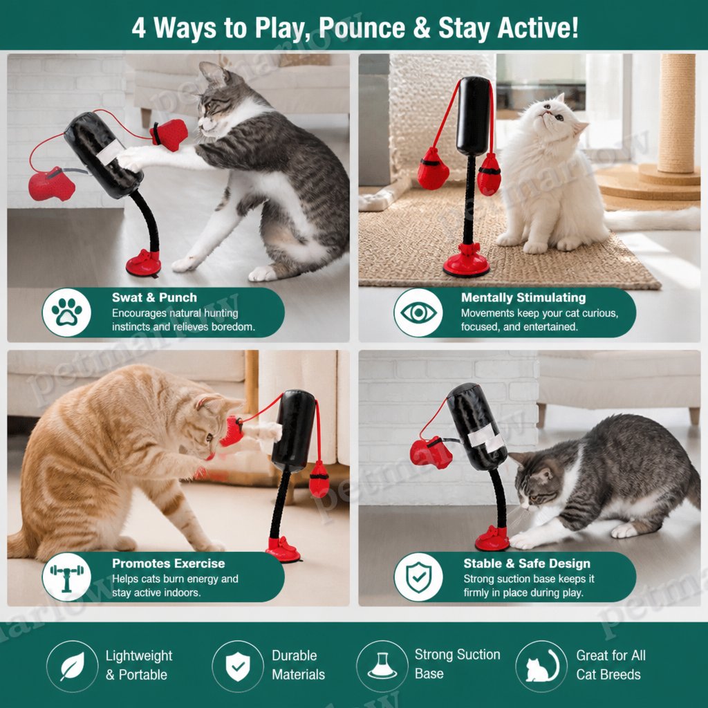 Durable Interactive Cat Boxing Toy with Punching Bag – view 5