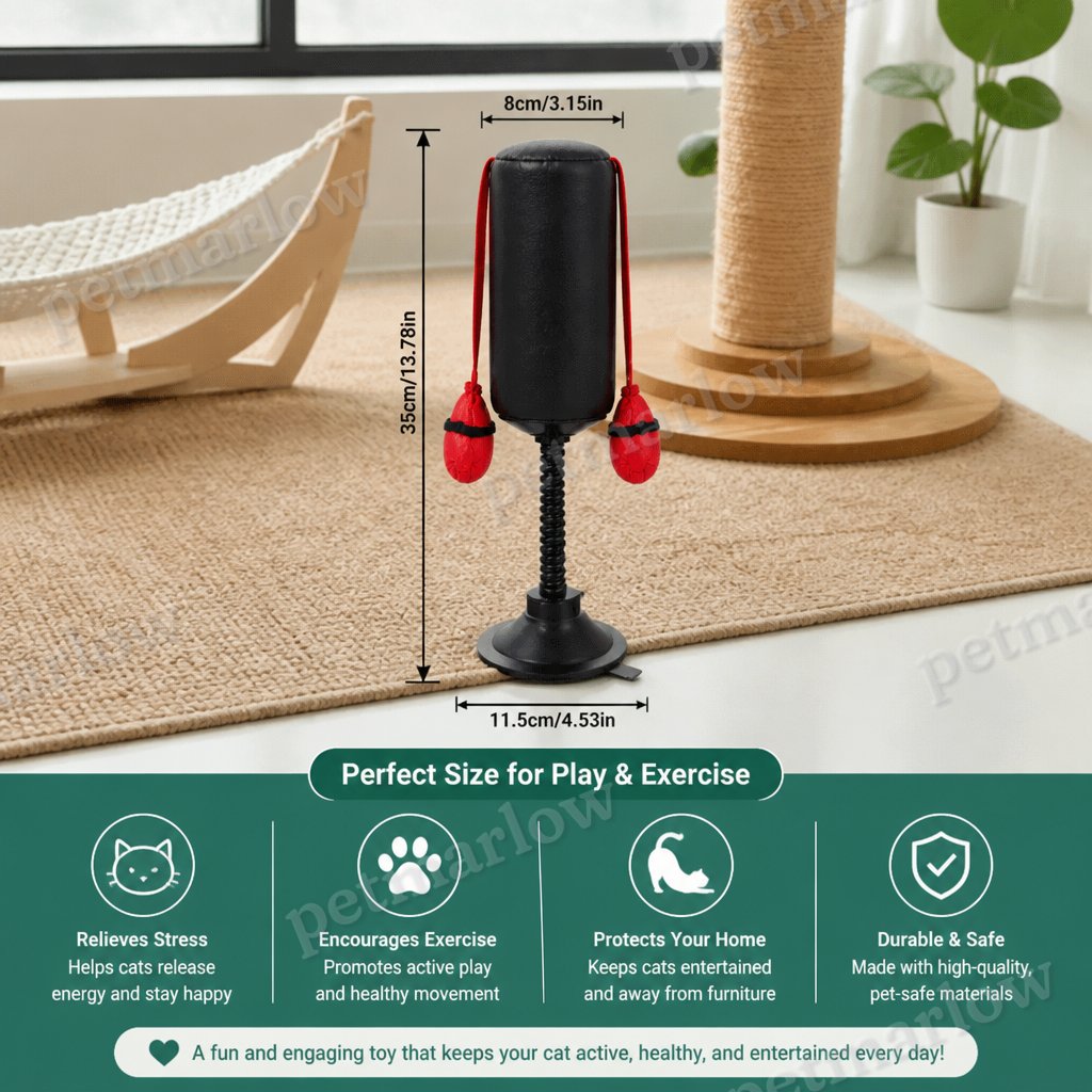Durable Interactive Cat Boxing Toy with Punching Bag – view 6