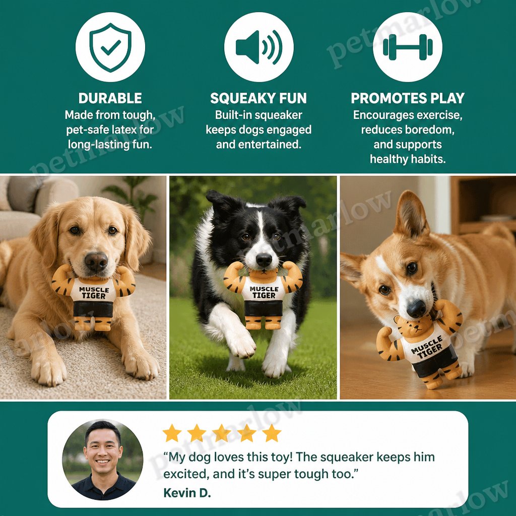 Durable Squeaky Muscle Buddy Dog Toy – view 6