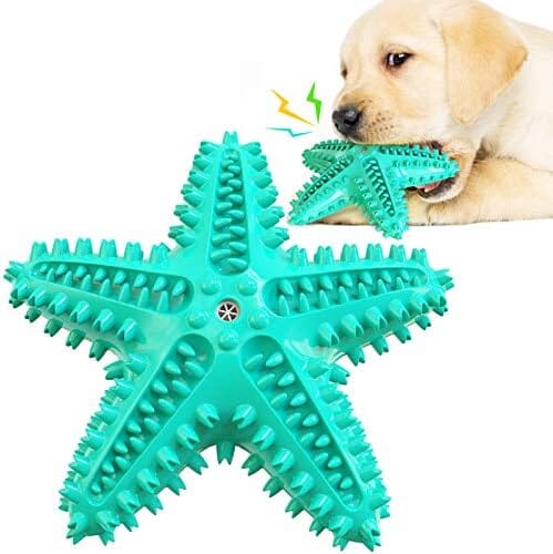 Durable Starfish Cleaning Toothbrush Toy – Blue