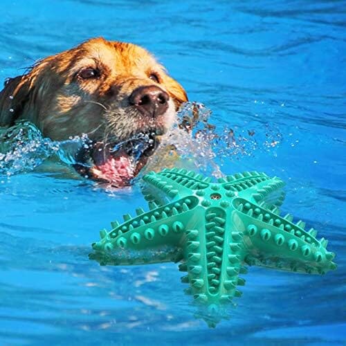 Durable Starfish Cleaning Toothbrush Toy – view 8
