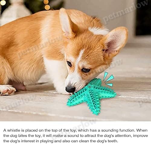 Durable Starfish Cleaning Toothbrush Toy – view 5