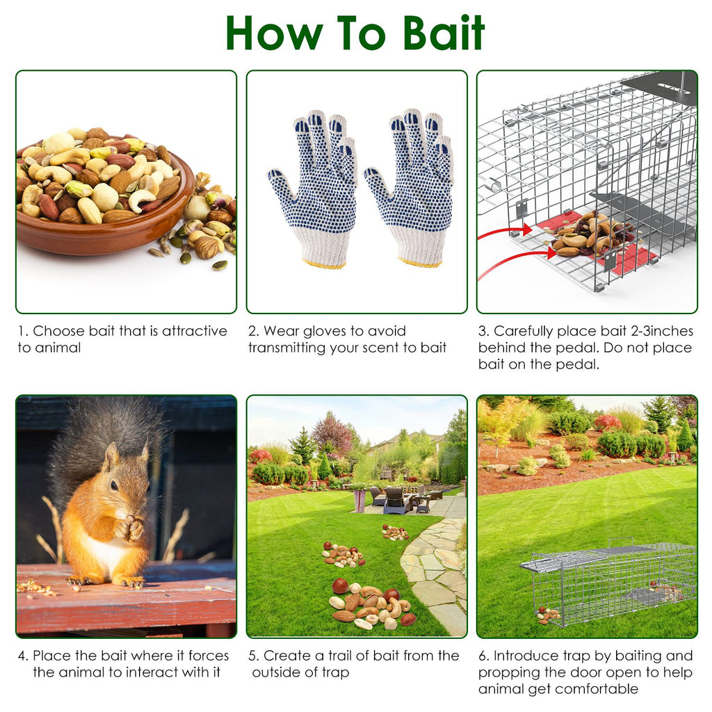 Folding Humane Live Animal Trap Cages for Small Animals – view 10