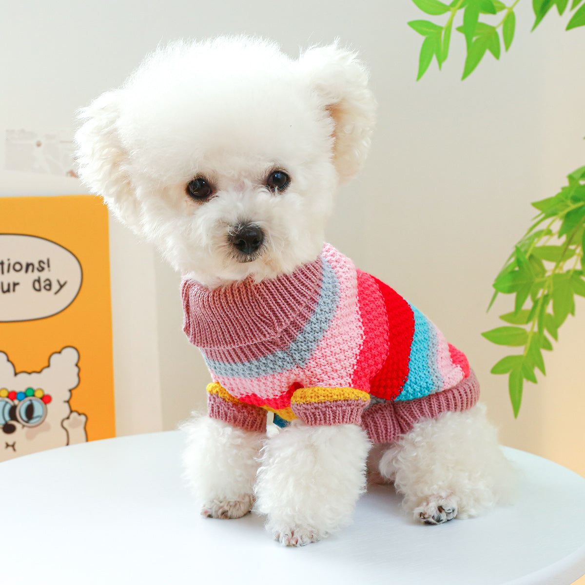 Rainbow Colorful Stripes Pet Sweater – view 8