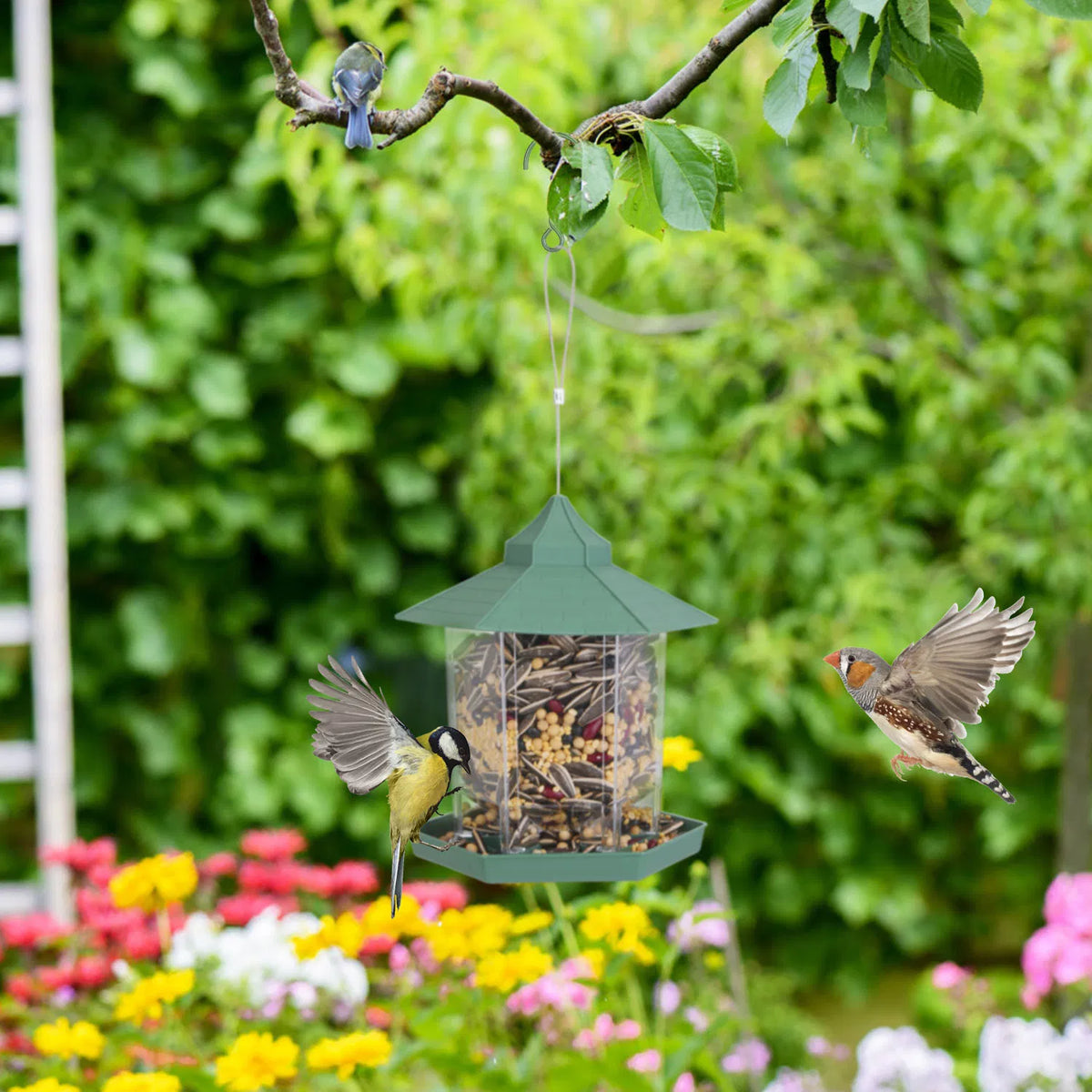 Hanging Gazebo Bird Feeder with Large Capacity and 6 Ports – view 8