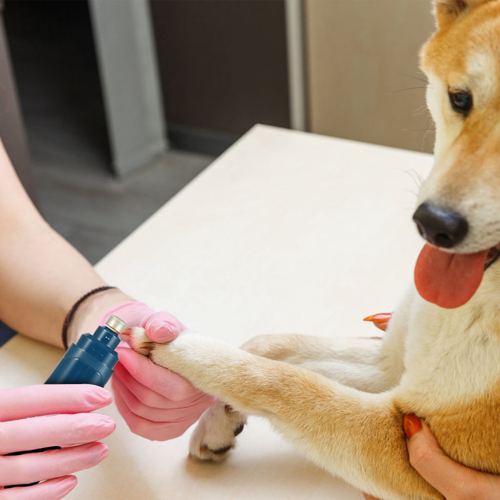 1Pc Dog Nail Grinder 2 Speeds Quiet USB Rechargeable Pet Nail Grinder Professional Pet Nail Trimmer Cordless Paws