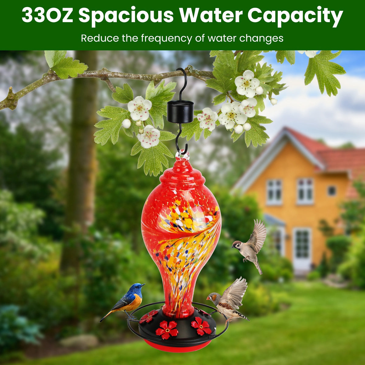 Glass Hummingbird Feeder With 5 Feeding Ports and 33oz Capacity – view 13