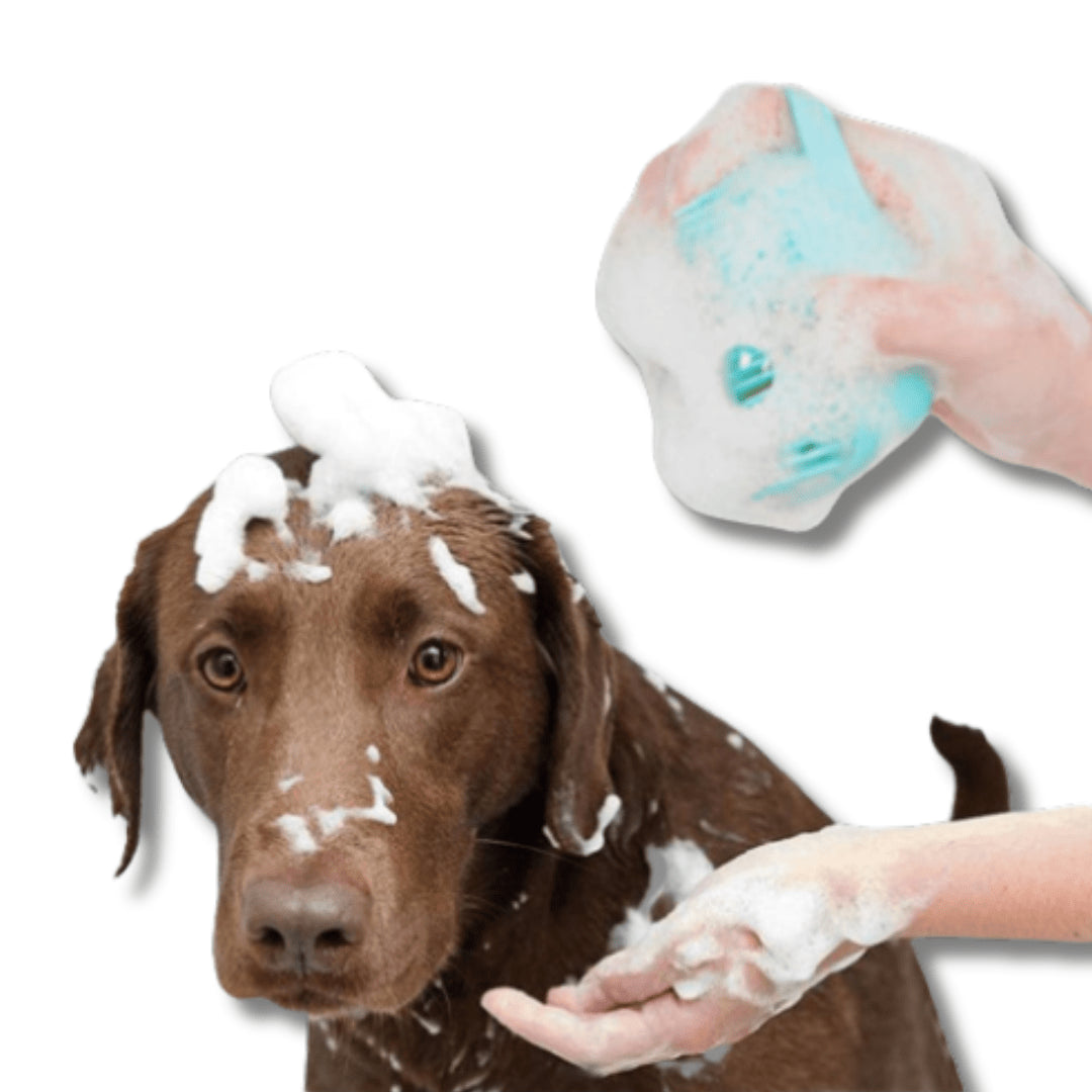 Easy Bath - Dispenser Massage Brush