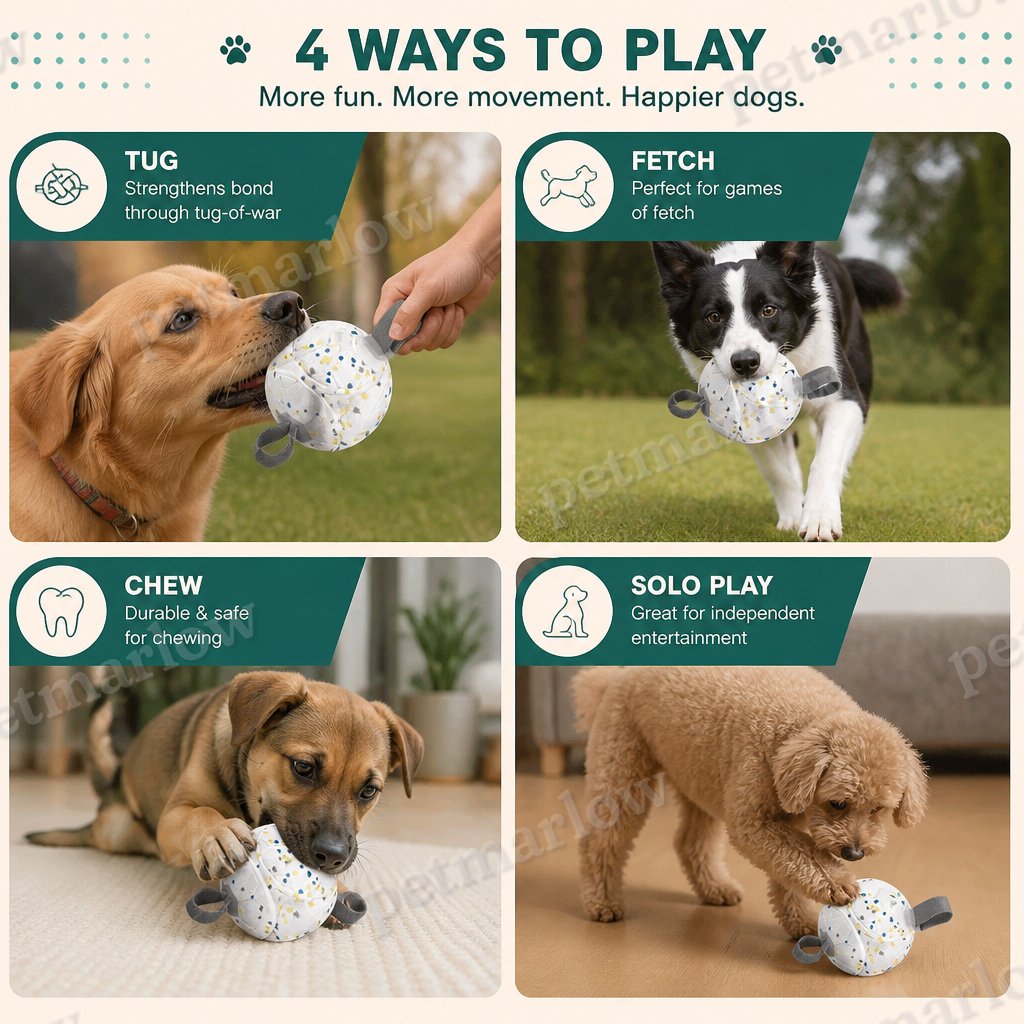Eco-Friendly Indestructible Dog Ball – Bite Resistant Interactive Tug & Fetch Toy – view 5