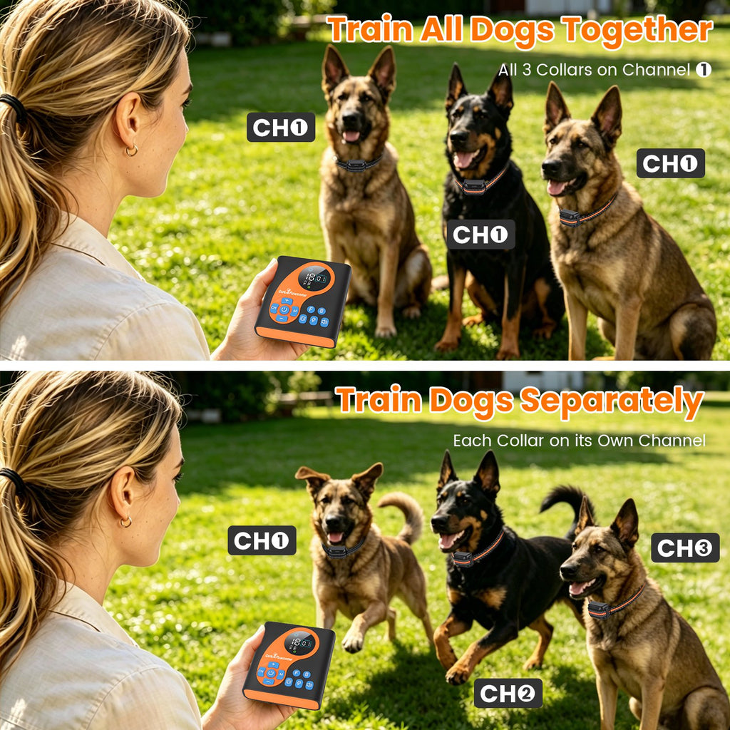 2 In 1 Wireless Dog Fence System with Training Collar – view 10