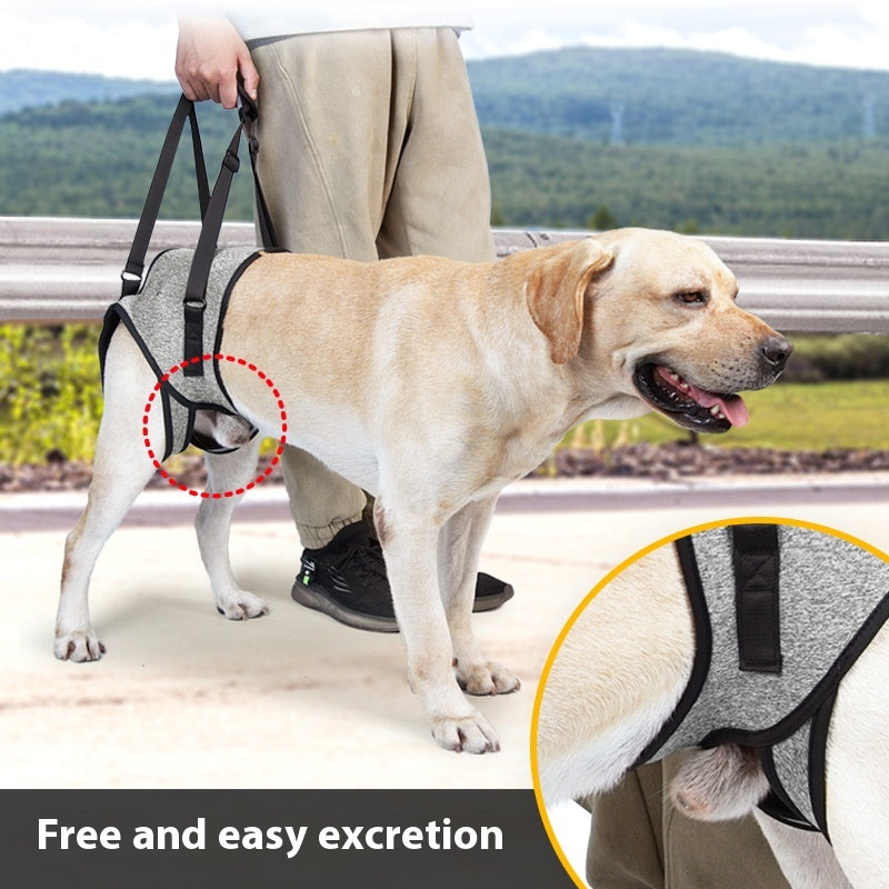 Elderly Dog Auxiliary Strap for Easy Outings
