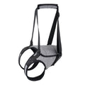 Elderly Dog Auxiliary Strap for Easy Outings – Heather Gray / S