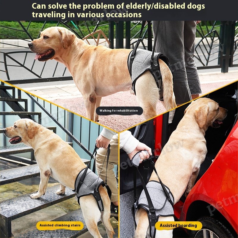 Elderly Dog Auxiliary Strap for Easy Outings – view 5