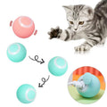 Electric Interactive Rolling Dog Cat Ball Toy