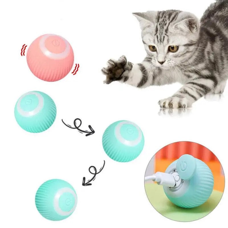 Electric Interactive Rolling Dog Cat Ball Toy