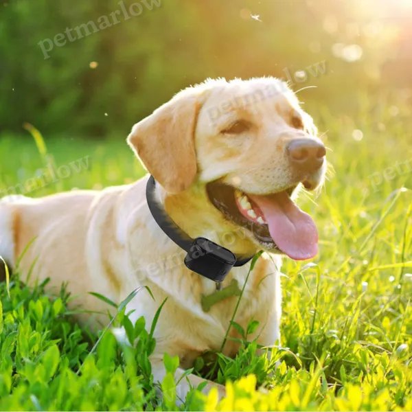 Electric Dog Fence System for Safe Boundary Training – view 2