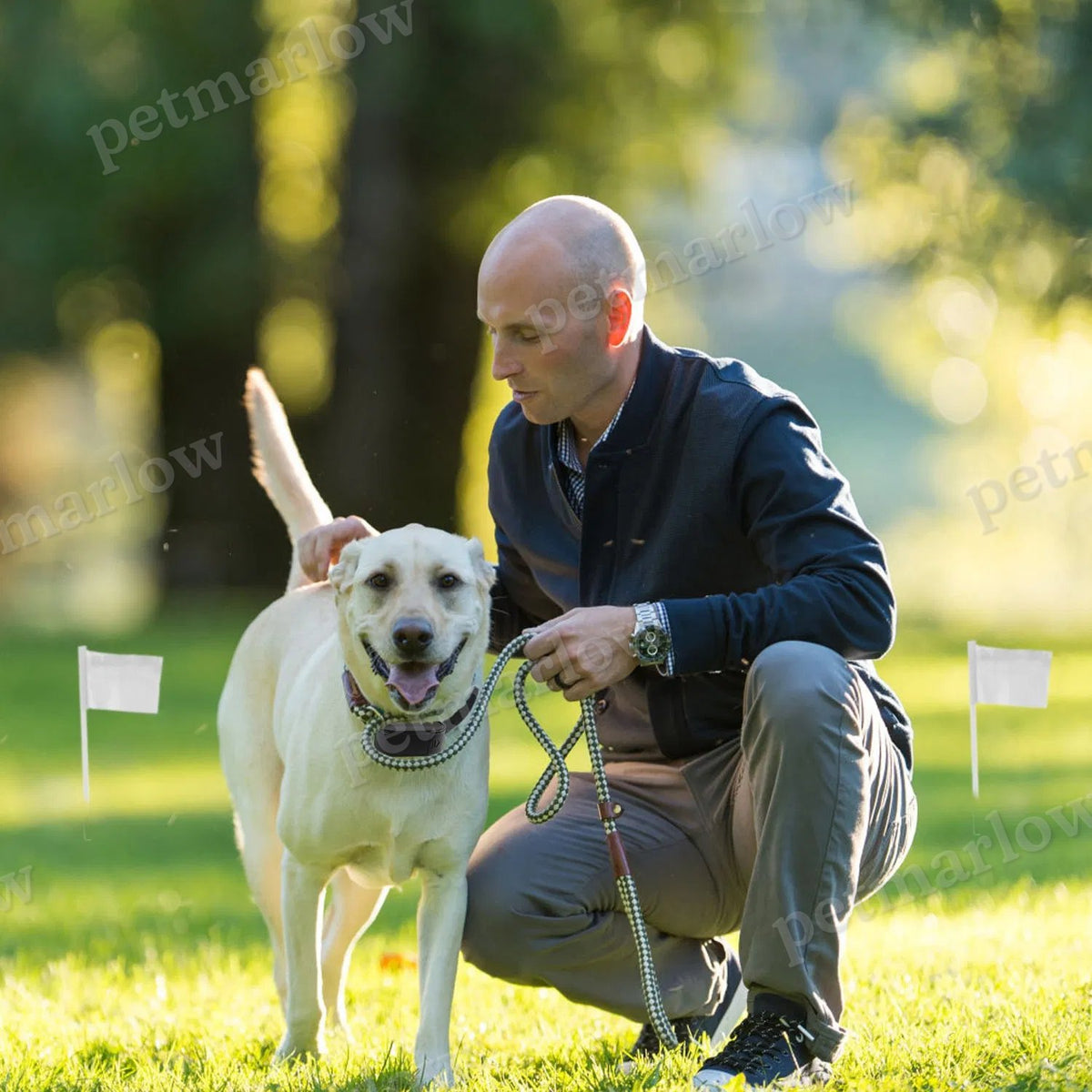Electric Dog Fence System for Safe Boundary Training – view 5