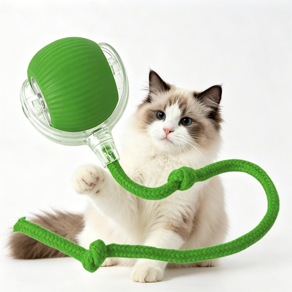 Electric Interactive Rolling Pet Ball Toy for Cats and Dogs