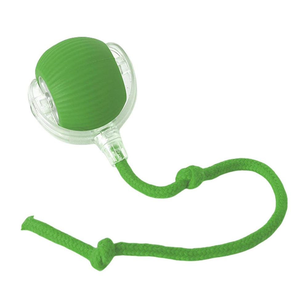 Electric Interactive Rolling Pet Ball Toy for Cats and Dogs – Green