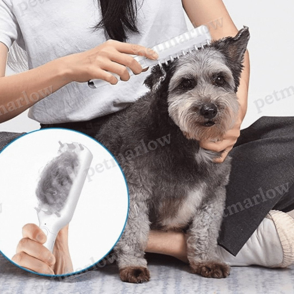 Electric Pet Massage Brush – view 4