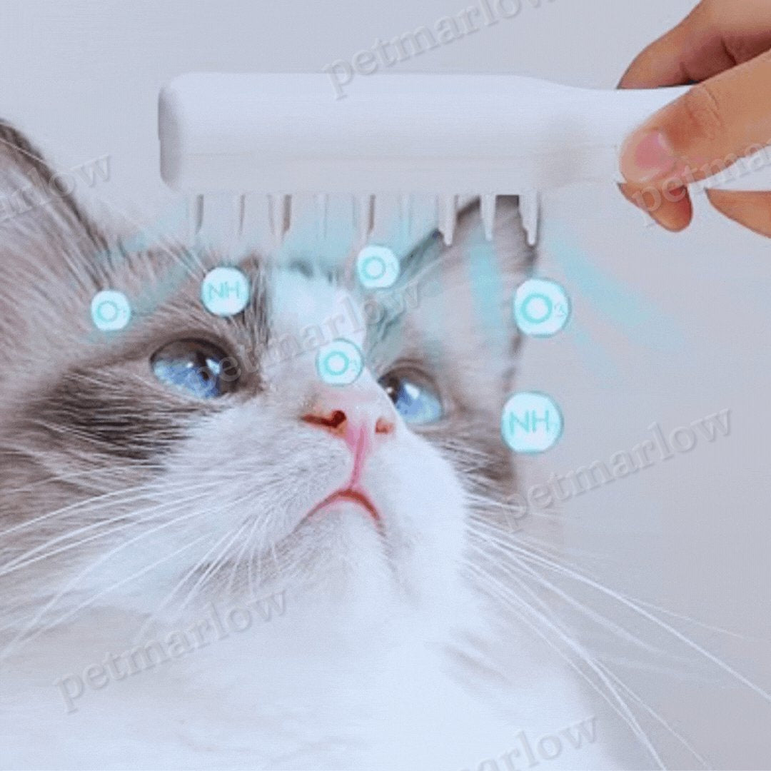 Electric Pet Massage Brush – view 5