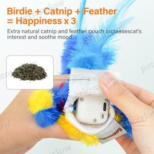 Electric Simulated Chirping Bird Interactive Cat Toy with Flappy Wings – view 5