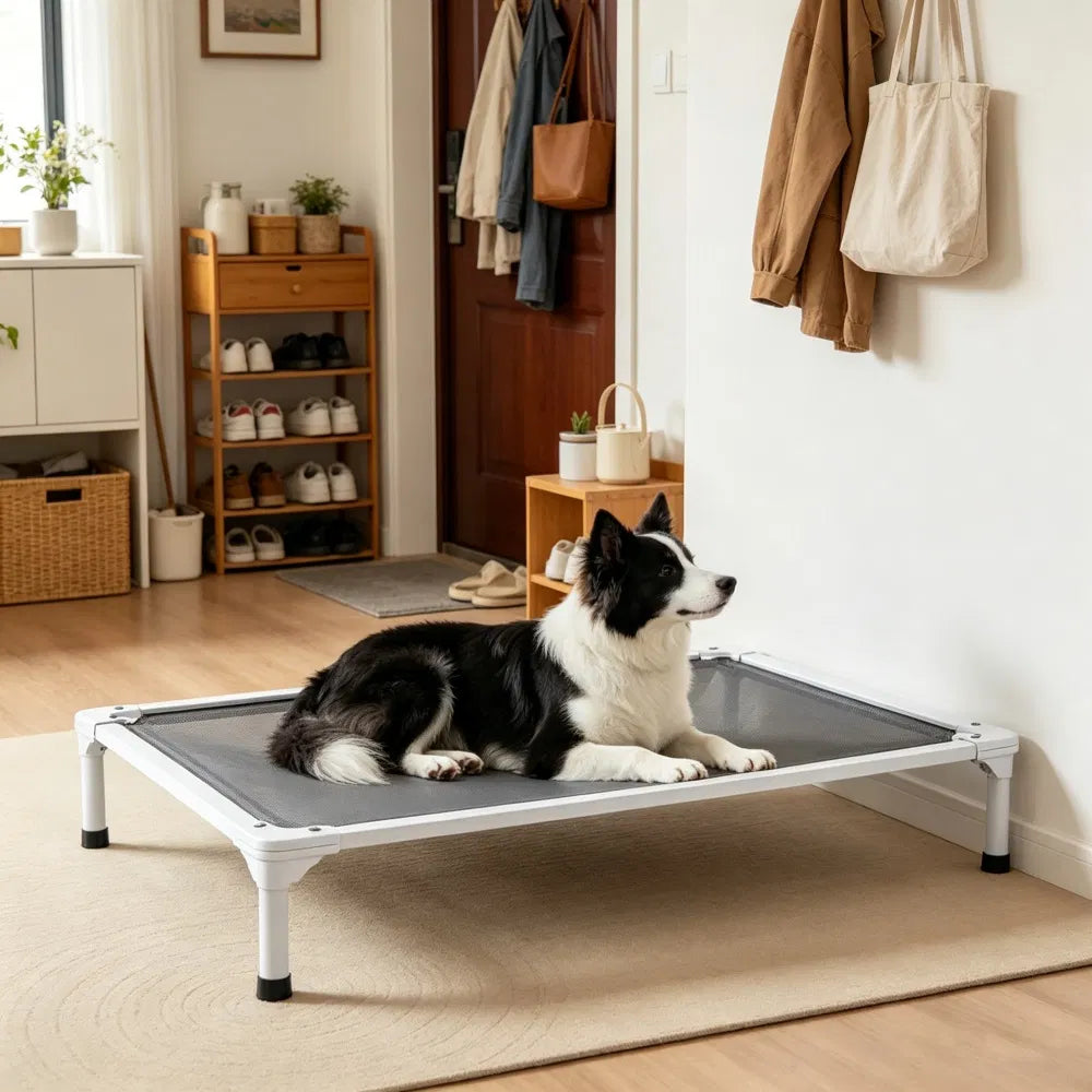 Elevated Dog Bed for Comfort and Coolness – view 2