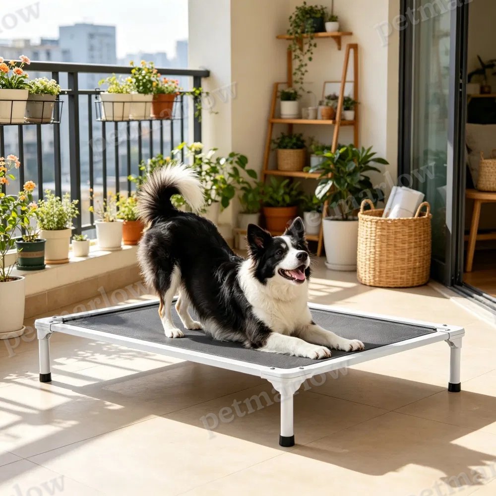 Elevated Dog Bed for Comfort and Coolness – view 4