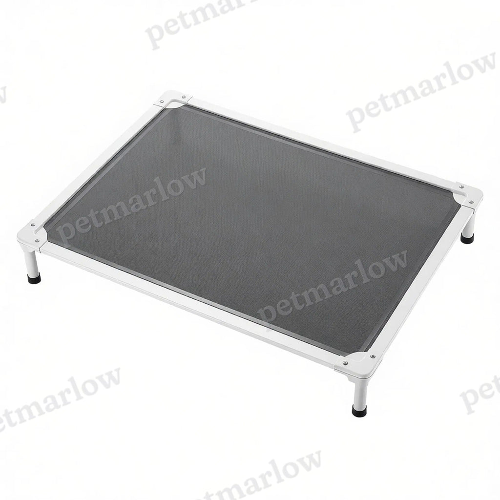 Elevated Dog Bed for Comfort and Coolness – view 5