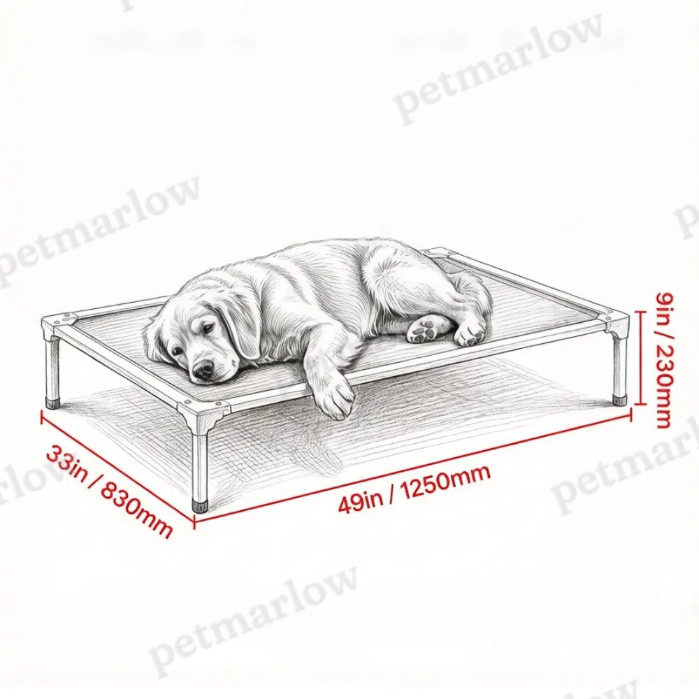 Elevated Dog Bed for Comfortable Rest – view 3