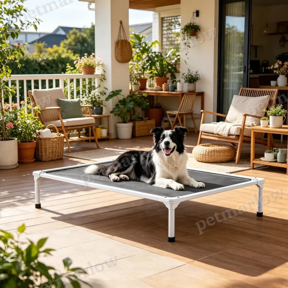 Elevated Dog Bed for Comfortable Rest – view 5