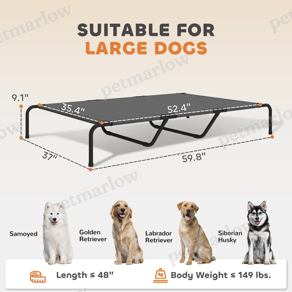 Elevated Dog Bed for Large Breeds Gray 60"L – view 5