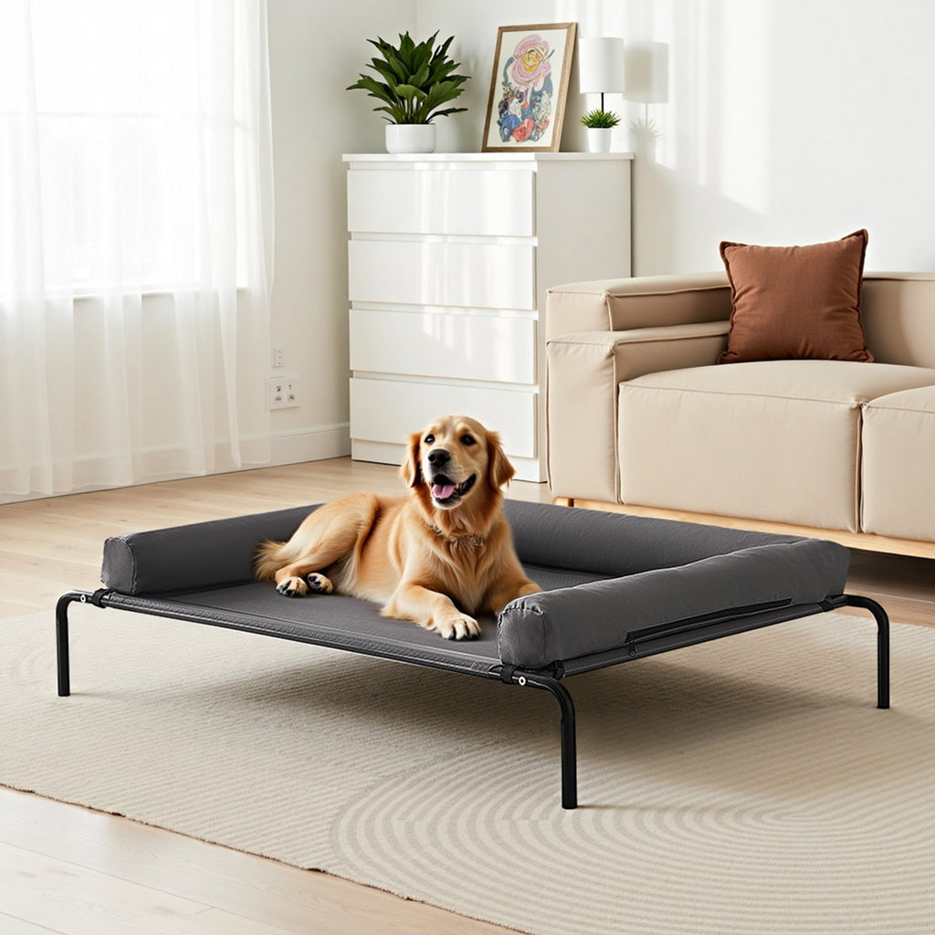 Elevated Dog Bed for Large Dogs with Comfortable Pillow – Black