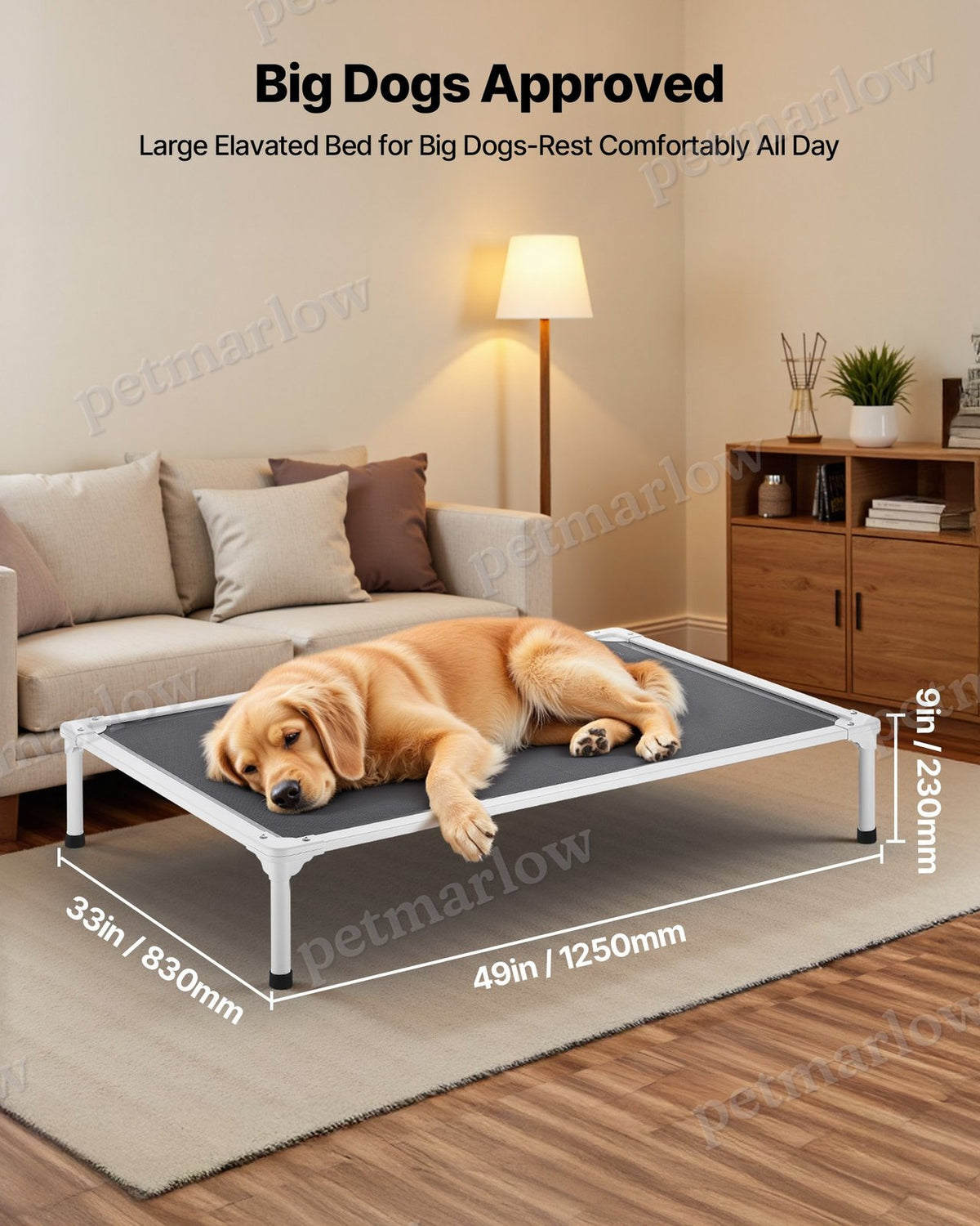 Elevated Dog Bed For Large Dogs, Portable Raised Cot – view 6
