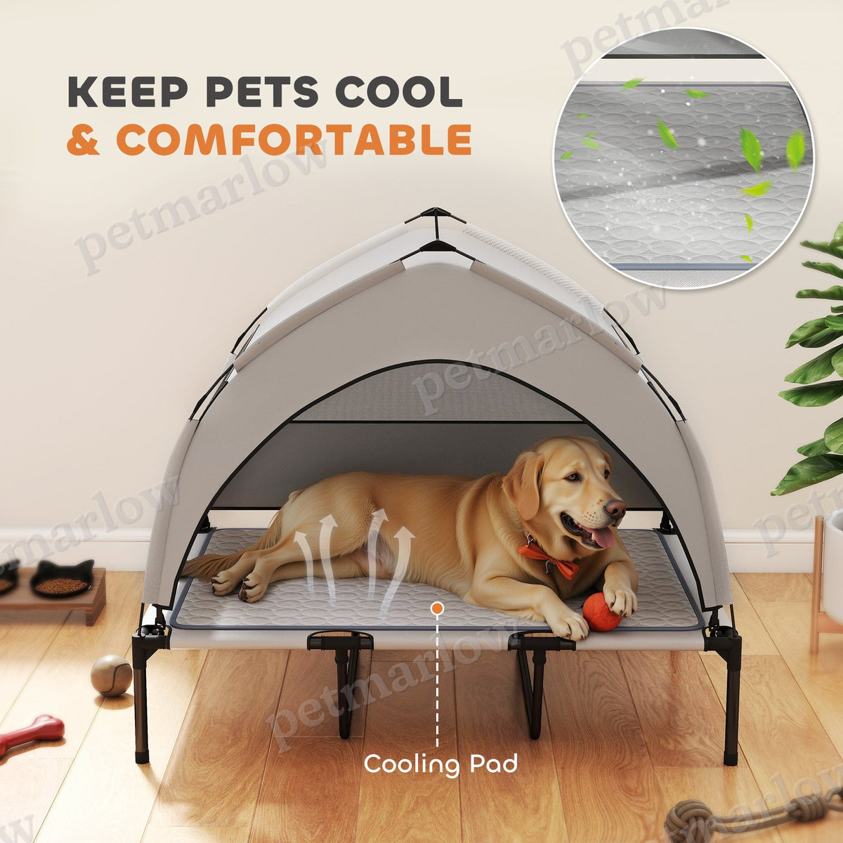 Elevated Dog Bed with Canopy for Outdoor Comfort – view 4