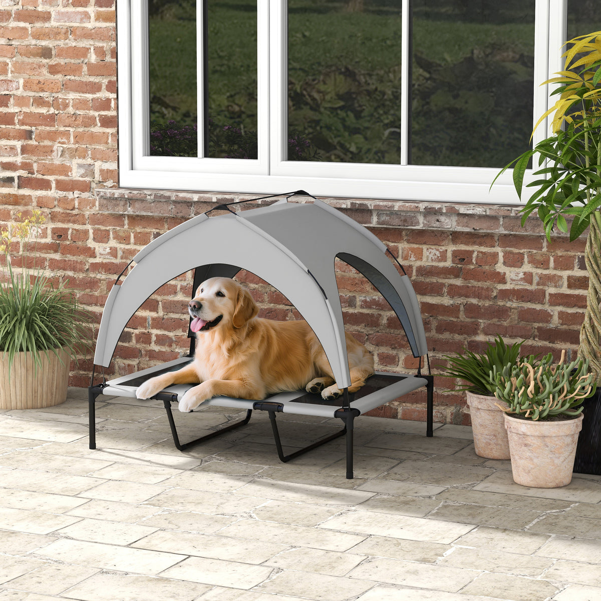Elevated Dog Bed with Canopy for Outdoor Comfort