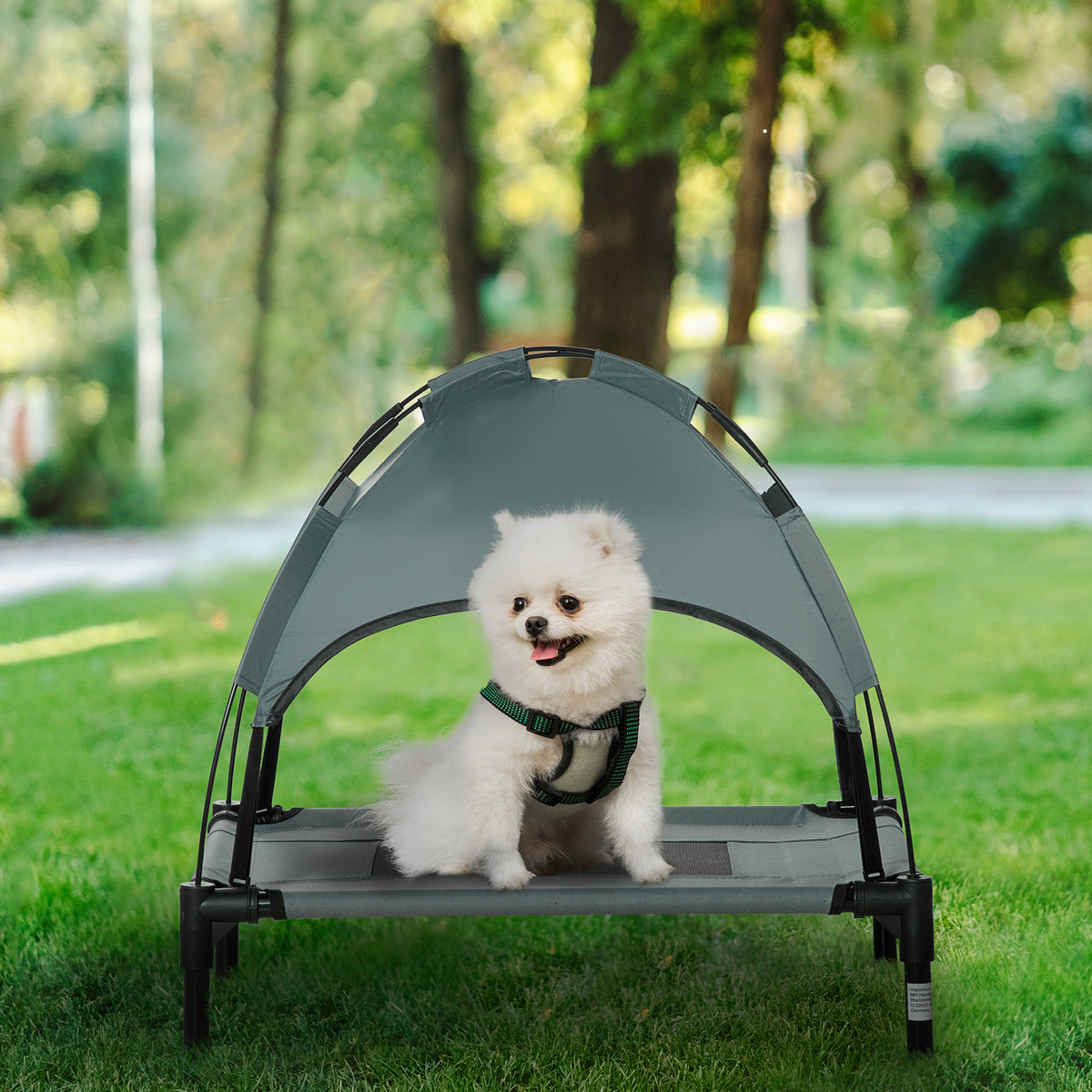 Elevated Dog Bed with Removable Canopy for Outdoor Comfort