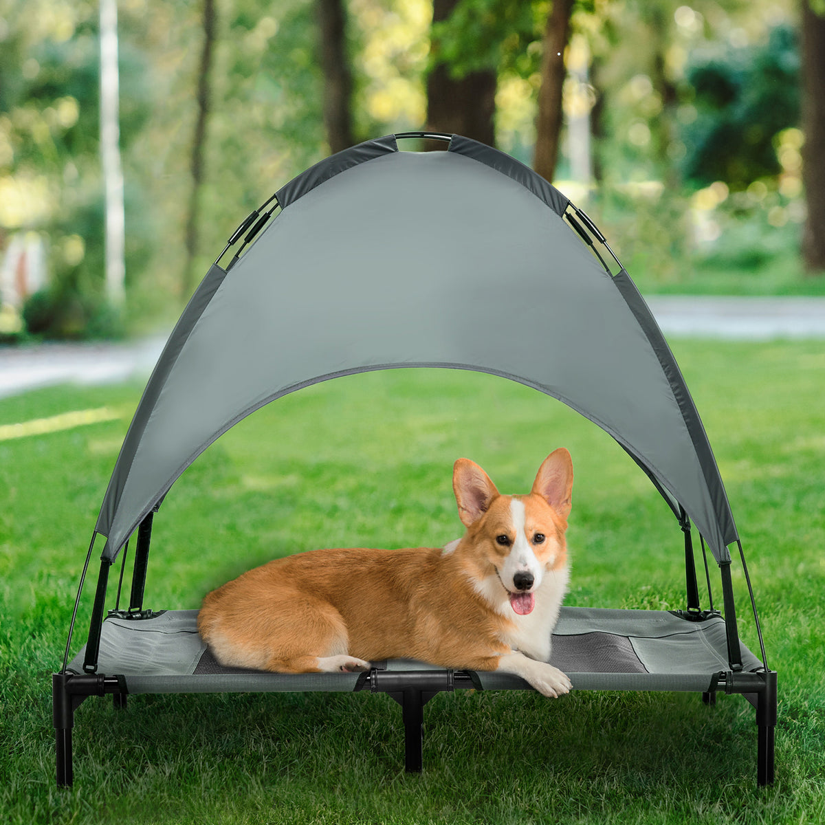 Elevated Dog Bed with Removable Canopy for Outdoor Comfort