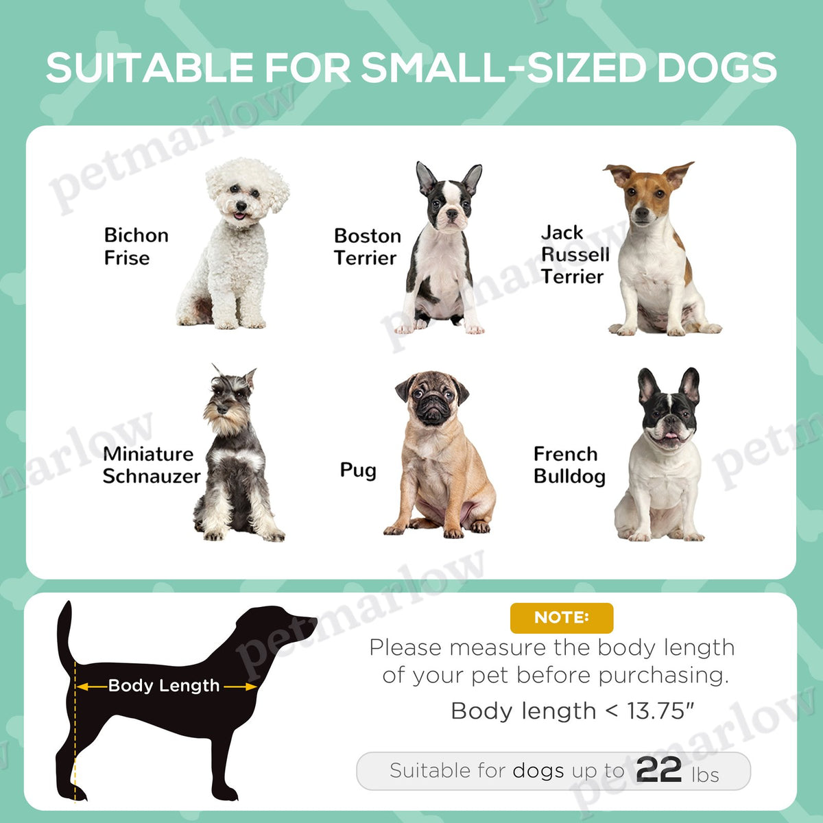 Elevated Dog Bed with Removable Canopy for Outdoor Comfort – view 6