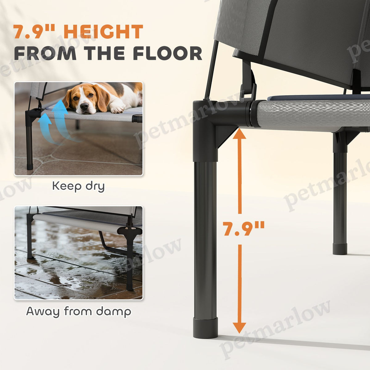 Elevated Dog Bed with Removable Canopy for Outdoor Comfort – view 4