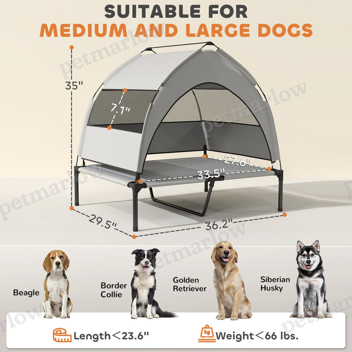 Elevated Dog Bed with Removable Canopy for Outdoor Comfort – view 5
