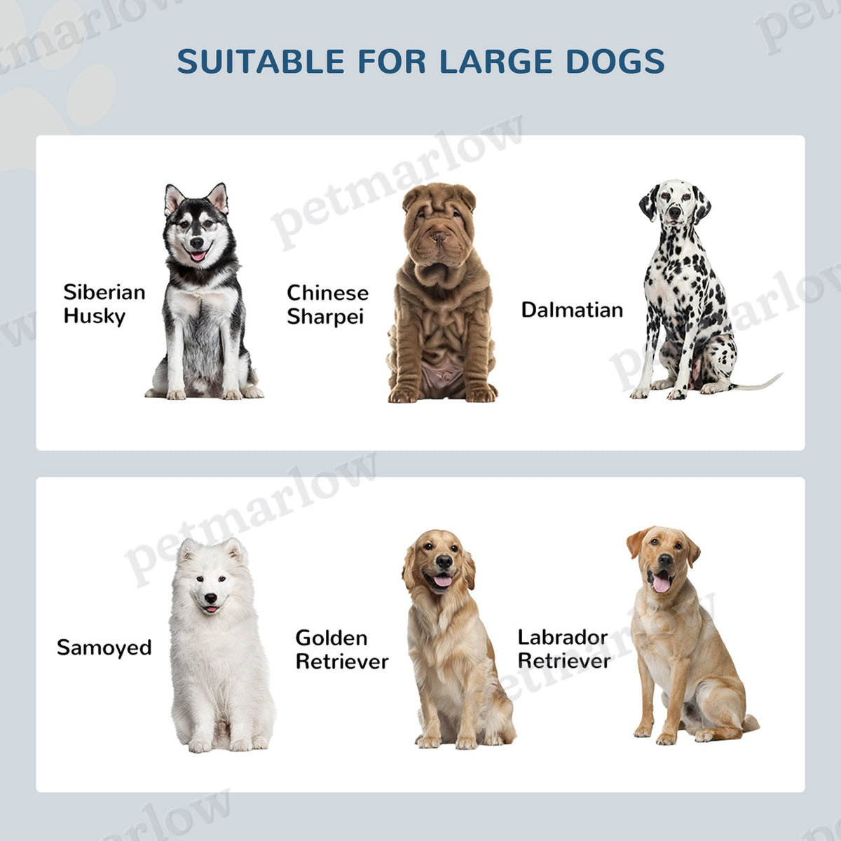 Elevated Dog Bowl Stand with Storage Cabinet – view 3