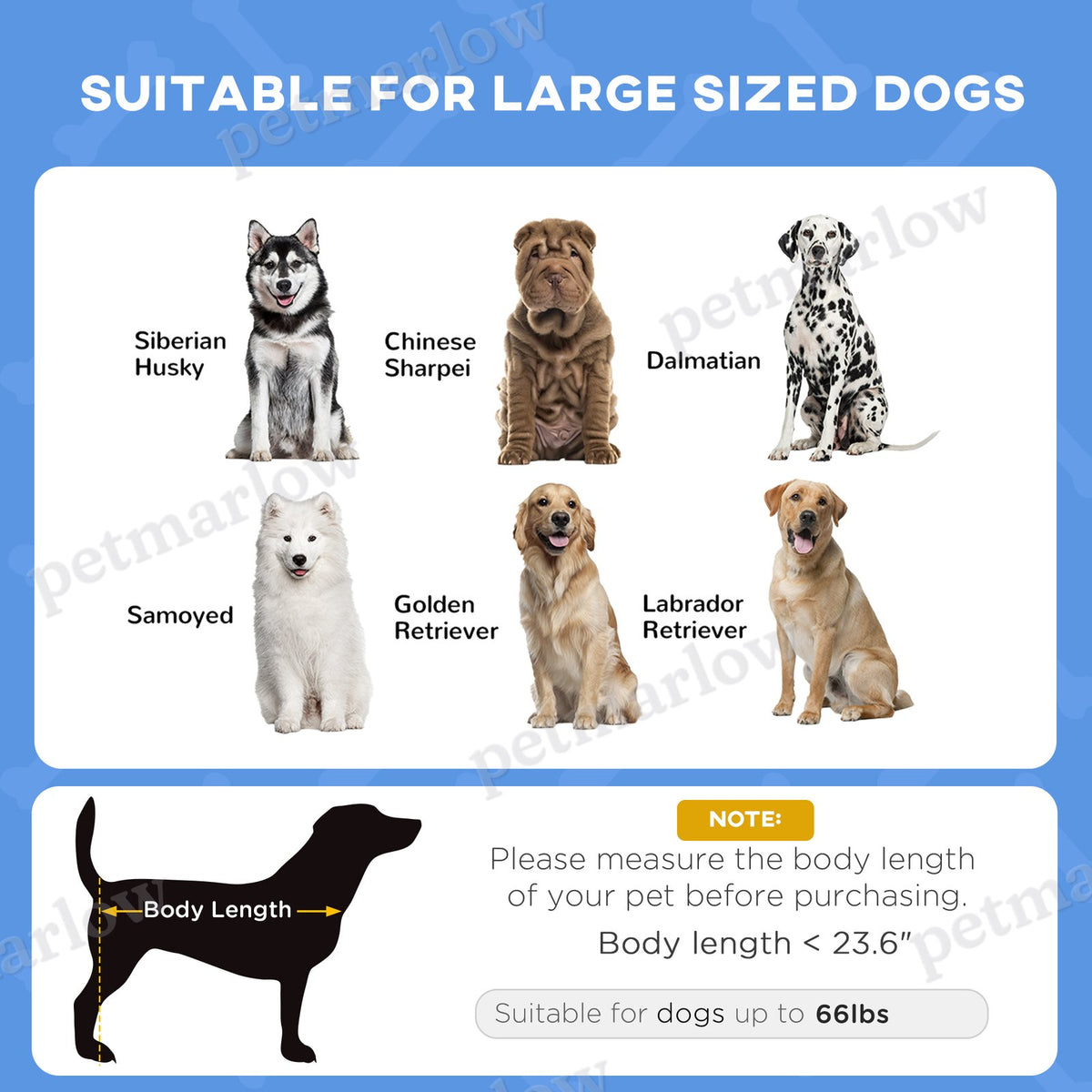 Elevated Dog Cot Bed with Canopy Shade for Comfort – view 4