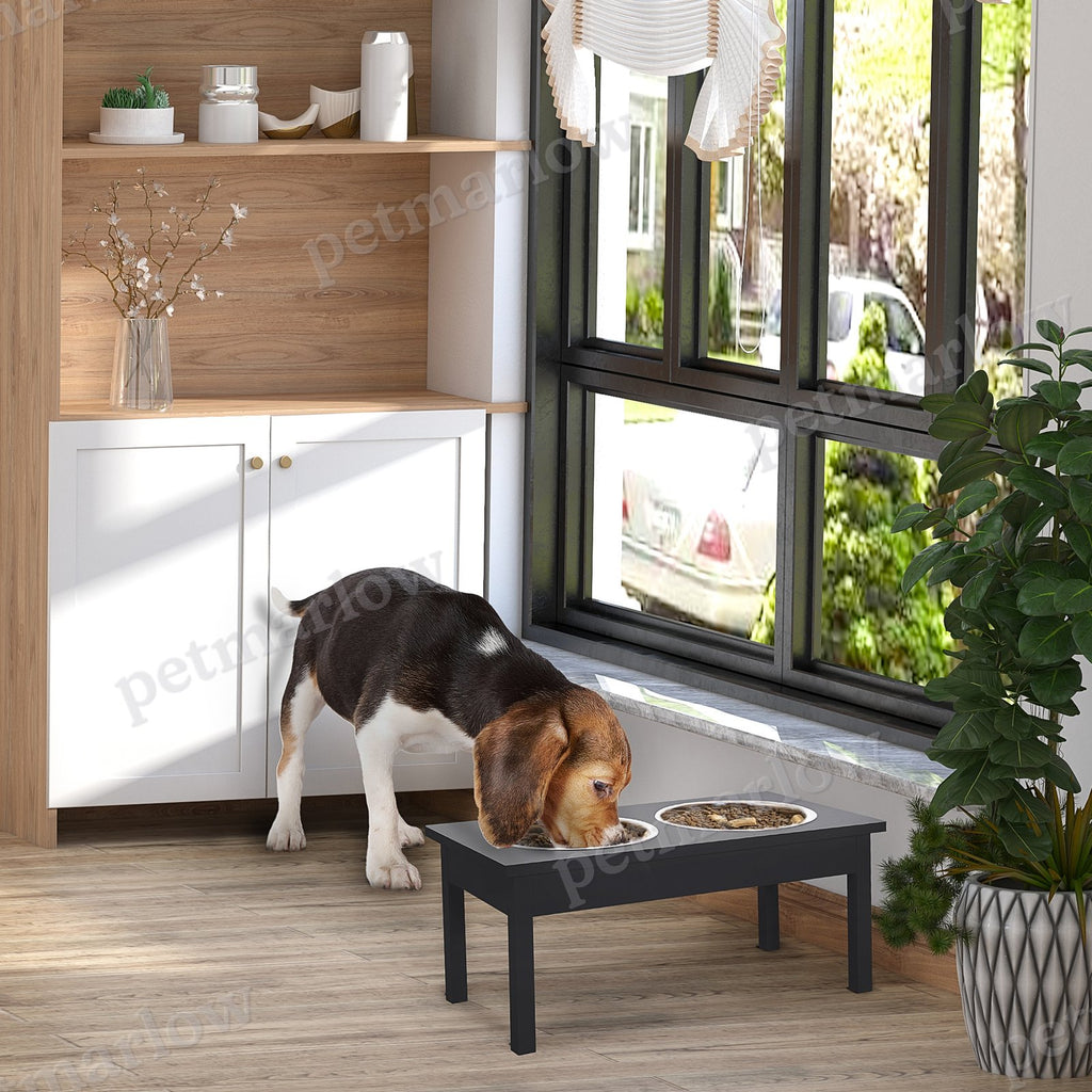 Elevated Dog Feeding Station with Stainless Steel Bowls – view 3