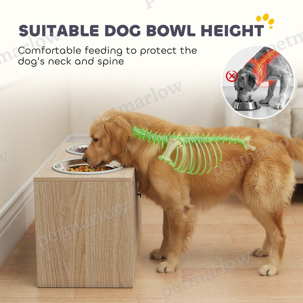 Elevated Dog Feeding Station with Storage Cabinet – view 4