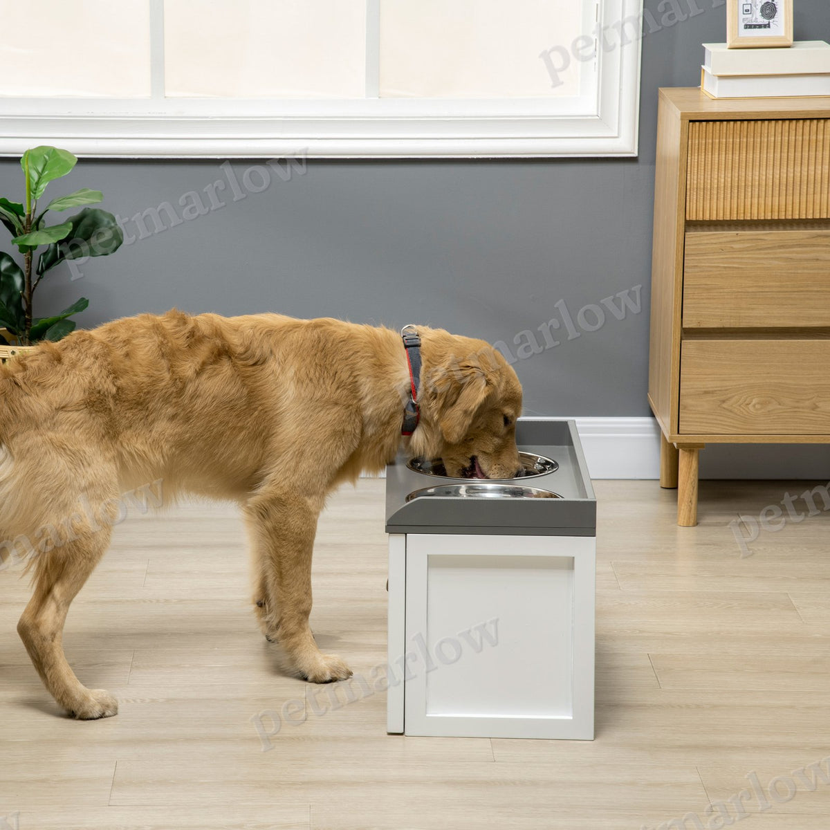 Elevated Dog Feeding Station with Storage for Large Dogs – view 3
