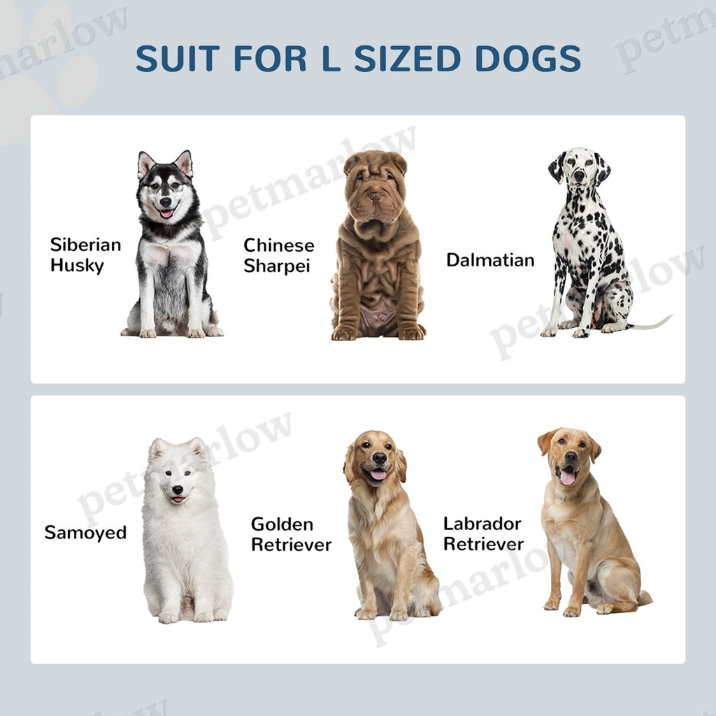 Elevated Dog Feeding Station with Storage for Large Dogs – view 6