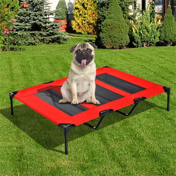 Elevated Pet Bed for Dogs and Cats with Travel Bag