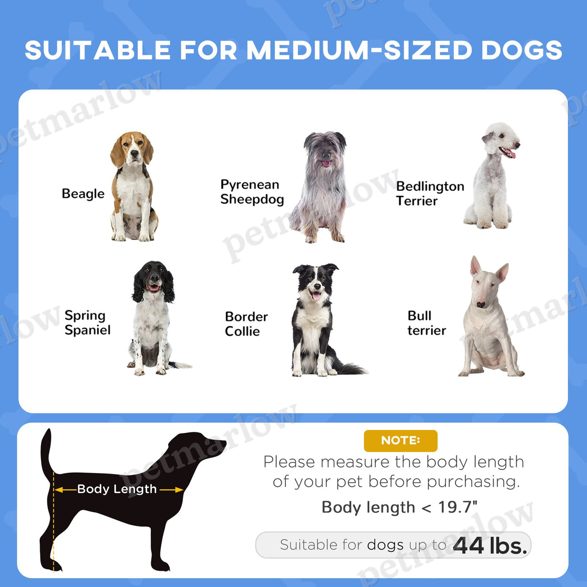 Elevated Portable Dog Cot with Canopy Shade – view 5